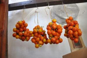 Il pomodoro giallorosso di Crispiano, presidio slow food ora anche sott’olio