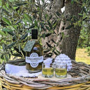 Pugliarello, dalle foglie di ulivo nasce il liquore ai profumi di Puglia