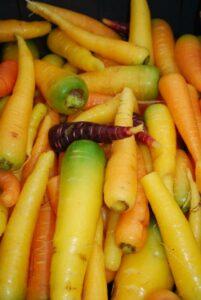 La Carota di Polignano, Presidio Slow Food dal colore viola e dal gusto unico