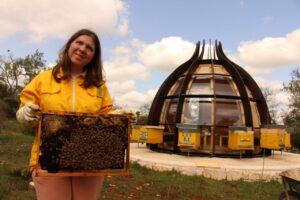 “Alveare da Favola” ha trasformato il Parco della Murgia nella casa ideale delle api