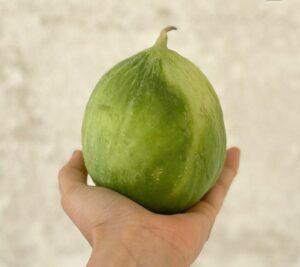 Barattiere, un mix tra cetriolo e melone dal potere rinfrescante