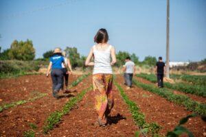 Xfarm, un manifesto di buone pratiche per l’agricoltura pugliese