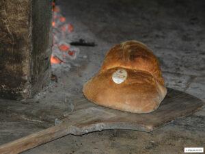 Pane di Altamura Dop, una lunga storia per il prodotto simbolo di Puglia