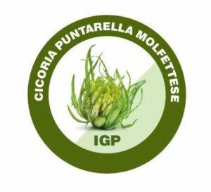 La Cicoria puntarelle detta “Molfettese” punta a raggiungere il riconoscimento di Igp