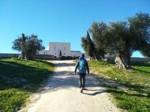 “Cicale di Puglia”, il progetto nato per scoprire il lato naturalistico della Puglia