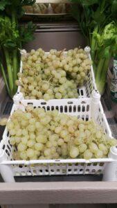 Uva Baresana, produzione ridotta e prezzi alti per i dolci grappoli pugliesi