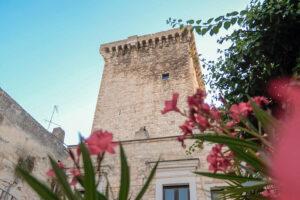 Ripartono le feste del vino, la Puglia celebra il post vendemmia