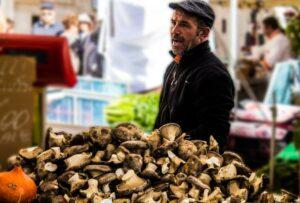 Dal vino, al fungo cardoncello: ecco gli appuntamenti per le prossime sagre in Puglia