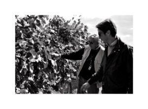 Michele Biancardi: “In Puglia oltre al Primitivo c’è altro da raccontare sul vino”