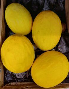 Melone di Brindisi, un frutto estivo conosciuto in tutta Italia