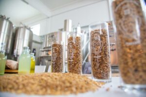 Fovea Beer Day: innovazione, sostenibilità e territorio grazie ai cereali