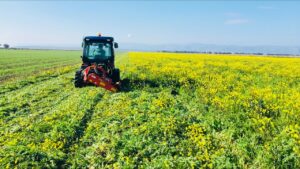 L’agricoltura multifunzionale determina il 20 per cento del pil agricolo della Puglia
