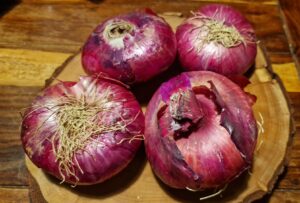 Vito Abrusci racconta La cipolla di Acquaviva in un libro tra ricette e consigli