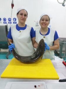 Le ombrine di Aldo, un pesce allevato in mare