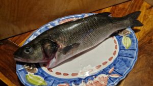 Spigola di mare è un pesce dal sapore unico