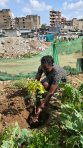 Plant for future: un progetto di riforestazione nato in Puglia ed esportato anche a Nairobi