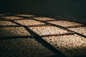 Il forno del 1200 che resiste nel tempo: a Bitonto cento focacce per ogni infornata