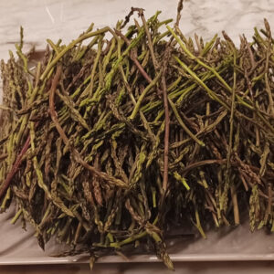 Asparagi selvatici: in Puglia è tempo di raccolta fai da te