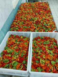 La Cumbòste: il sapore antico che Corato ha riscoperto e celebrato nei PAT