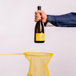 “Calavento”: l’orange wine di cantina Conti Zecca