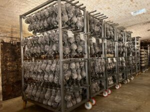 Dalla Puglia al mondo: Deliziosa e Il Carro nella Guilde Internationale des Fromagers