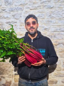 Cos’è la ràkene e perché oggi è un simbolo di rivoluzione agricola