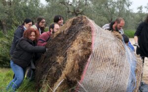 Cos’è la ràkene e perché oggi è un simbolo di rivoluzione agricola