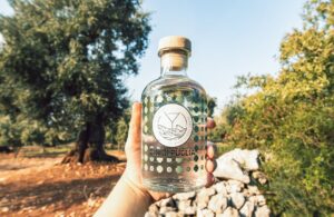 All’olio d’oliva, alla cozza, o alla bruschetta: a ognuno il suo gin pugliese per il World Gin Day